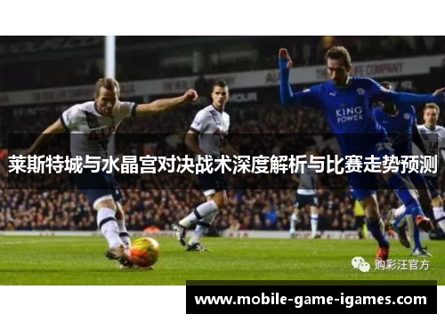 莱斯特城与水晶宫对决战术深度解析与比赛走势预测