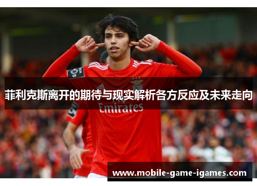 菲利克斯离开的期待与现实解析各方反应及未来走向